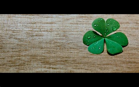 Lucky Charm Wallpapers 40 Pictures