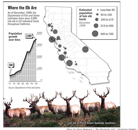 States Tule Elk Herds Running Out Of Room Running Out Of Room To