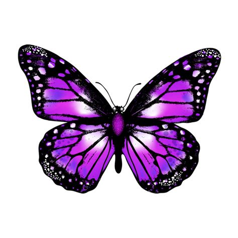 Purple Butterfly Free Download | PNGlib – Free PNG Library png image