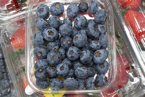 Blueberries 125g Per Punnet Rossco