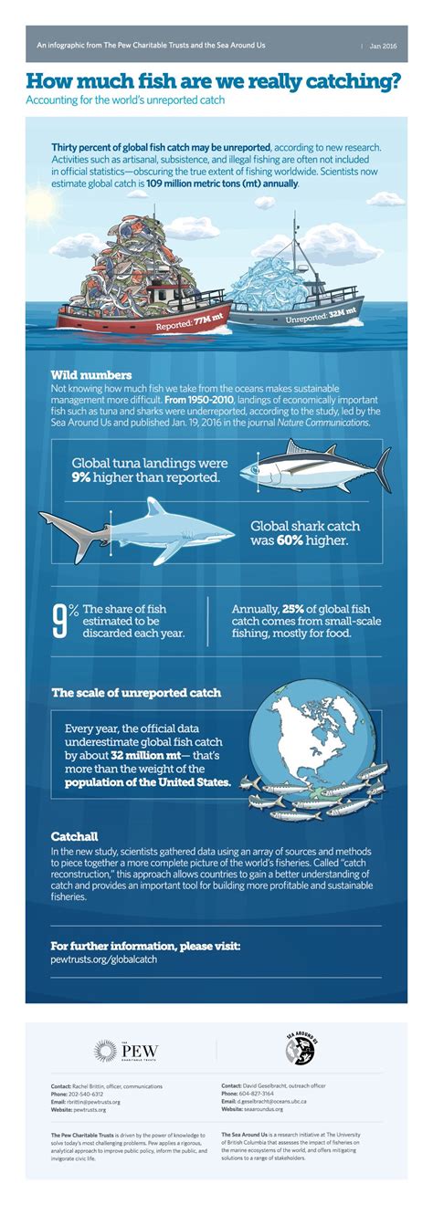 Study Finds 30 Per Cent Of Global Fish Catch Is Unreported Ocean