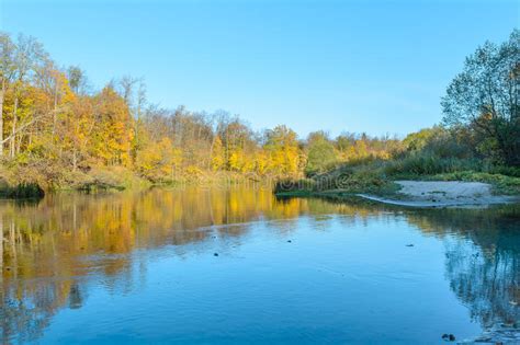 Forest River Stock Photo Image Of Biome Pond Floodplain 93228316