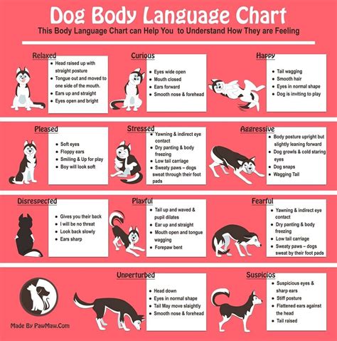 Dog Body Language Chart In 2020 Dog Body Language Body Language Dog