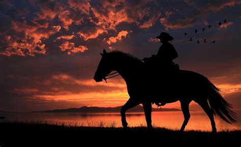 Cowboy Sunset Photograph By Gene Praag Pixels