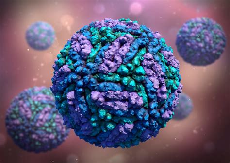 Studi Epidemiologi Virus Dengue di Surabaya, Bogor, dan Bangkalan