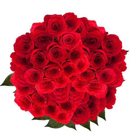 Globalrose Red Roses Order 100 Fresh Flowers Next Day