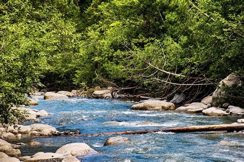 Hd Wallpaper Stream Alpine River Greenery Water Nature Creek