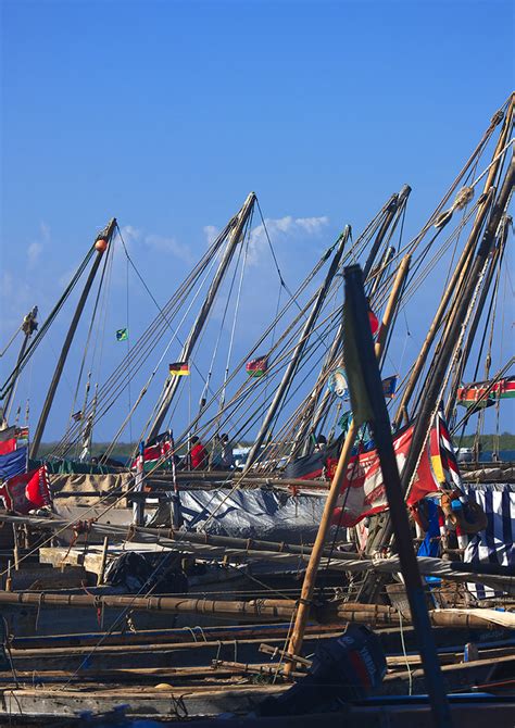 The facilities at lamu port once complete will lead to creation of substantial job opportunities that it is expected that the port of lamu would attract some of the cargo which would traditionally pass. Dhow Masts In Lamu Port, Lamu, Kenya | Lamu is a small ...