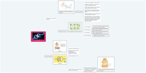 A Mind Map With Various Items And Pictures On The Page Including An