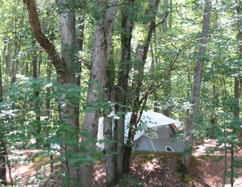 Shenandoah Campgrounds Best Camping Near Skyline Drive