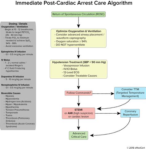 Acls Algorithm Review Immediate Post Cardiac Arrest Care Algorithm