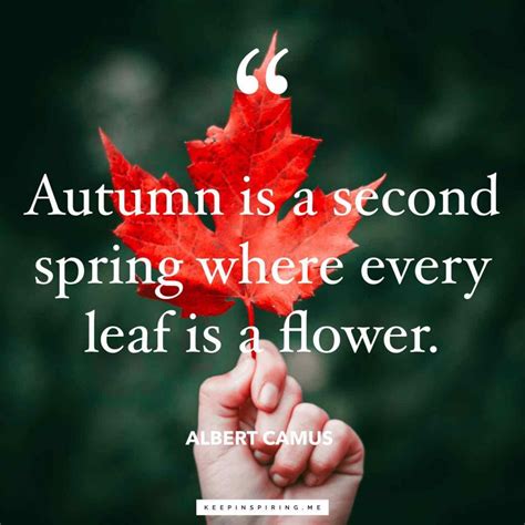 Fall Quotes And Sayings Keep Inspiring Me