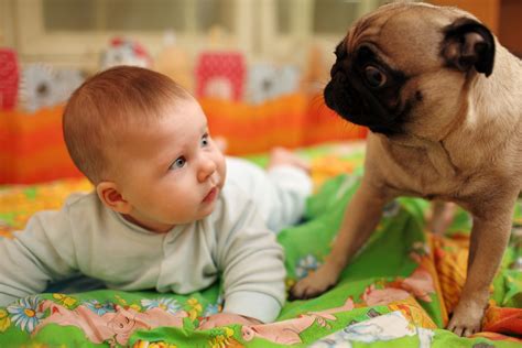 Here Is Why Kids Need Their Best Pet Friends They Look Adorable Together