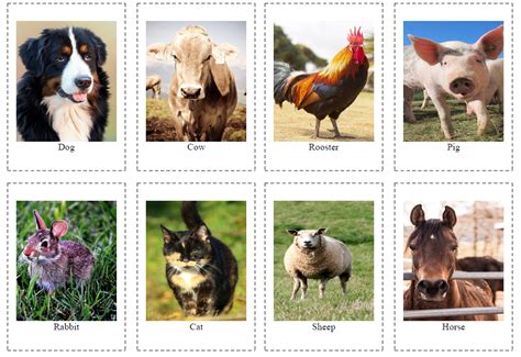 Real Farm Animals Printables Images And Photos Finder Free Printable Card