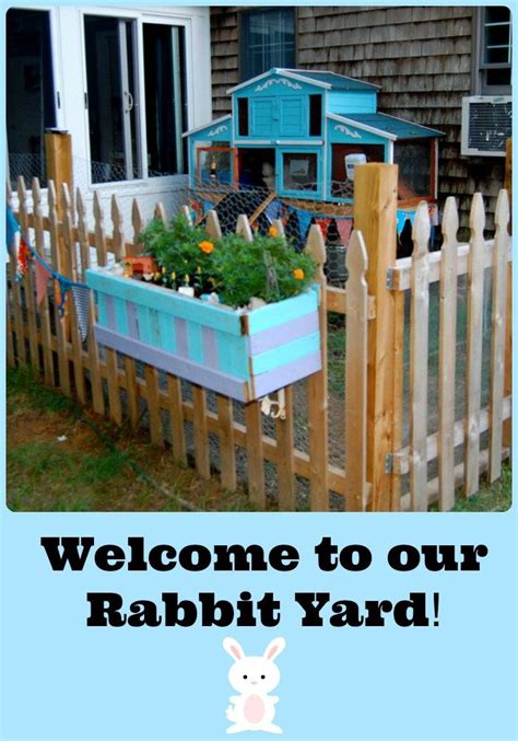 An estimation for how much it cost per year to run a rabbitry is $600. Photo Tour of our Rabbit Yard | Creative, Planters and Backyards