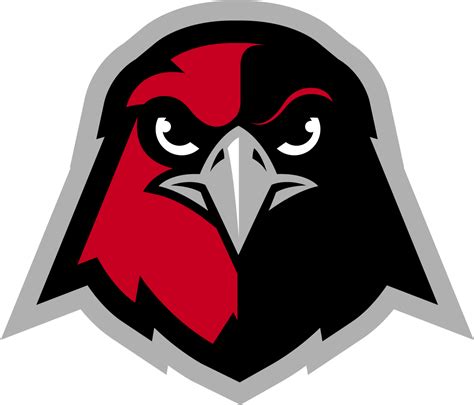 hawks logo png - Hawks Logo Png - Holy Names University Mascot png image