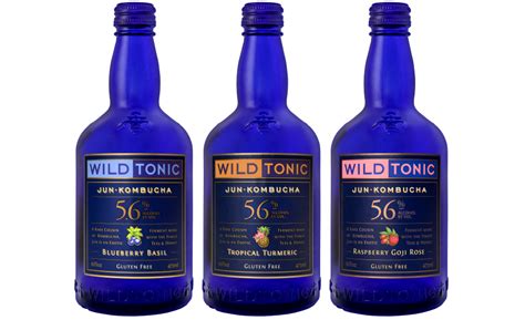 Wild Tonic Jun Kombucha Ale 2017 08 02 Beverage Industry