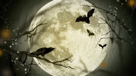 Halloween Moon Wallpapers Top Free Halloween Moon Backgrounds