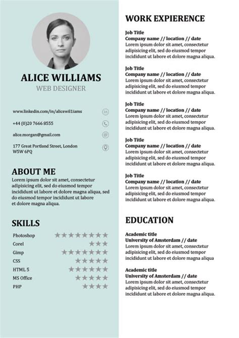 resume template creative cv  word