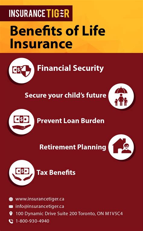 Infographic Benefits Of Life Insurance In 2021 Benefits Of Life