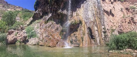 Sitting Bull Falls Oasis In The Desert New Mexico