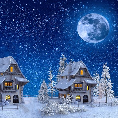 Winter Moon Wallpapers On Wallpaperdog