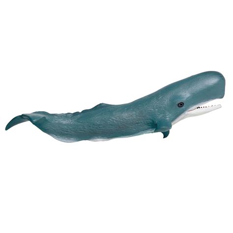 Safari Ltd® Sperm Whale Michaels