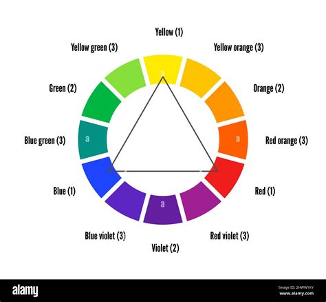 Color Wheel Guide With Twelve Colors Vector Illustration With Primary