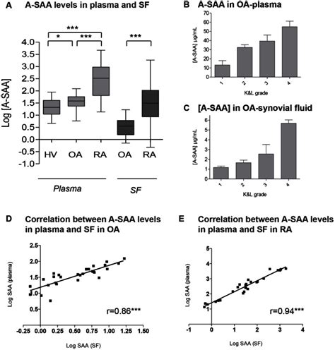 A A Saa Profiles In Blood And Synovial Fluid Sf Of Oa And Ra