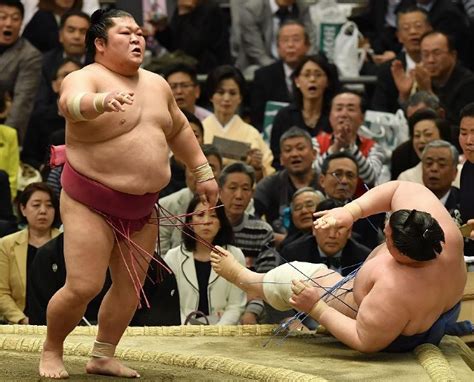 Los 16 Luchadores de Sumo Más Famosos de Japón 2022