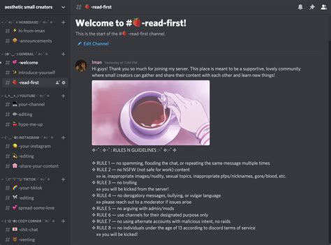 Introduction Template Discord Aesthetic