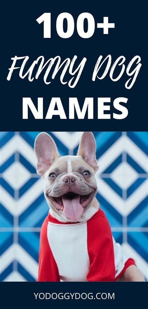 Hilarious Dog Names Over 100 Lmao Worthy Ideas Thatll Make You Pee
