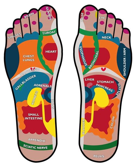 ontarget massage what to expect from a reflexology session