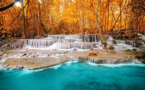 Forest Trees River Waterfalls Autumn Wallpaper Nature And Landscape Wallpaper Better