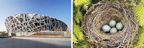 10 Architectural Masterpieces Inspired By Nature Biomimicry