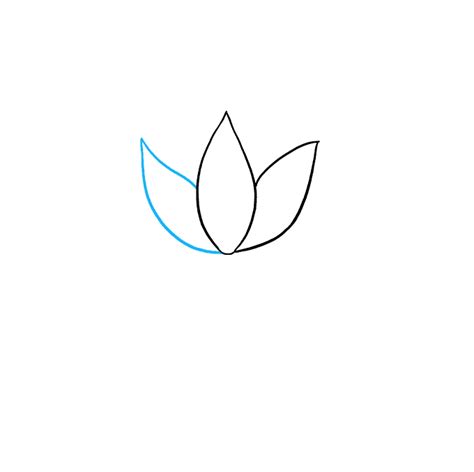 Lotus Flower Sketch Easy Mark Setape2010