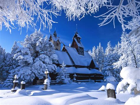 10 Best Winter Nature Wallpapers High Resolution Full Hd 1080p For Pc Background 2021