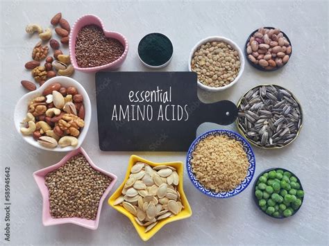 Essential Amino Acids Foods