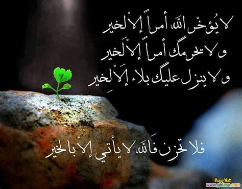 Beste volgers van arabix op facebook. صور حلوه جدا جدا , متاكد احلى صورة تشوفها بحياتك - كلام في ...