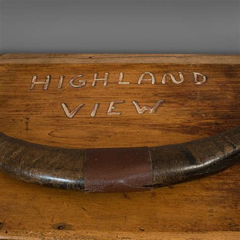 Antiques Atlas Vintage Mounted Horn Display Scottish Pine