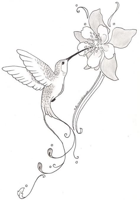 Decorated with pretty flowers and leaves, this printable bird coloring page depicts a cute hummingbird that's flying in to take a drink. Image result for simple hummingbird sketch | Hummingbird ...