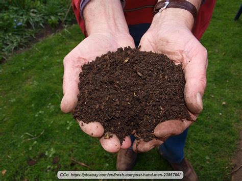 How To Amend Clay Soil Virily