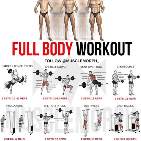 If You Want To Build Muscle Mass There Are Hundreds Of Different Training Programs You Could