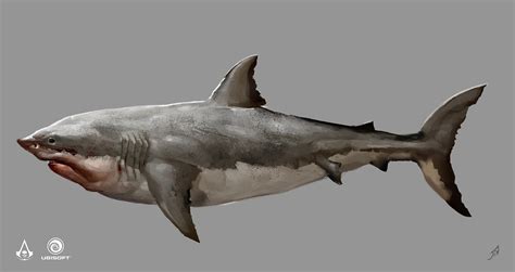 Image Ac4 Shark Concept Art The Assassins Creed Wiki