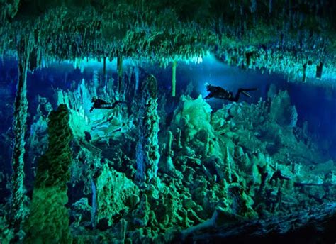 Leave The Bucket List Nr1 Cave Diving Bahamas