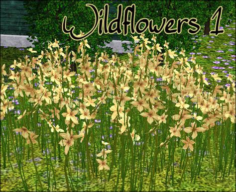 Simman123s Wildflowers 1