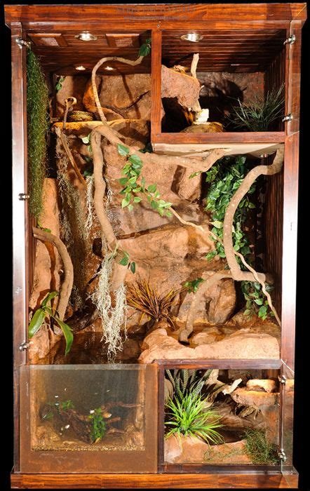 Discover led reptile lights for plant growth with the bio dude. DIY Reptile Enclosure Guide | Reptile Care | All Pet Care
