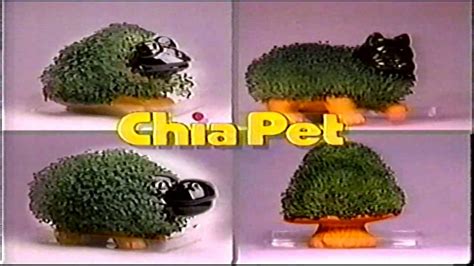 90s Era Chia Pet Commercial Youtube