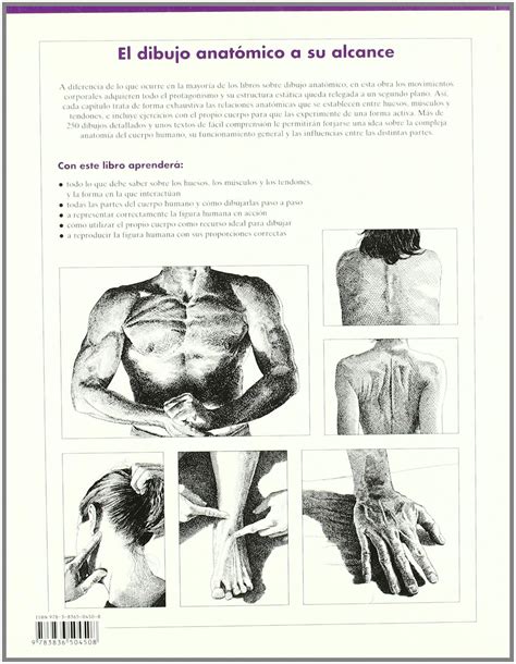 Etiqueta las partes del corazón si quieres consultar sus partes por motivos de anatomía. Dibujo De Un Libro Con Sus Partes - Libros Favorito