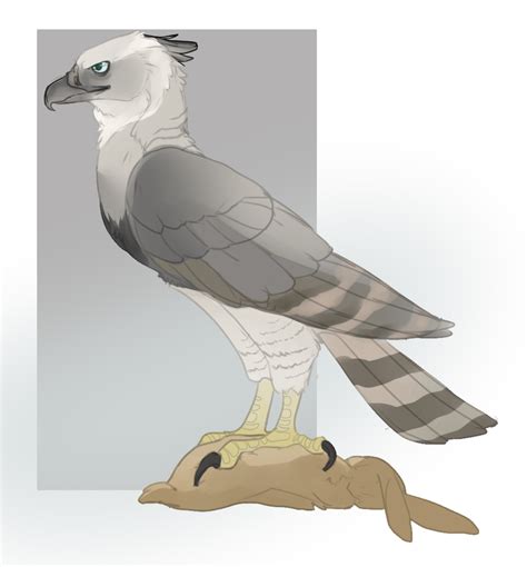 Harpy Eagle Design Cm By Mbpanther On Deviantart